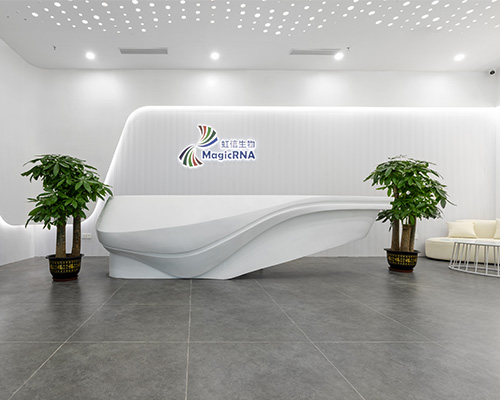 1667609126361625.jpg 19.jpg