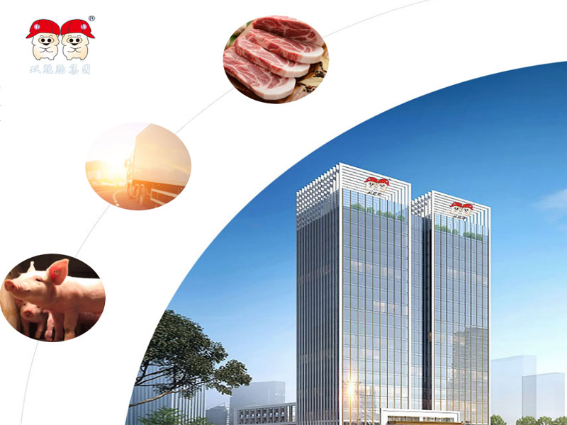 雙胞胎集團(tuán)